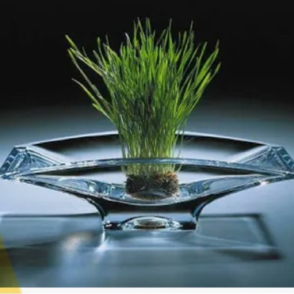 Nambé Clarus Planar 9" Bowl - Designed by Karim Rashid EUC - Picture 3 of 6